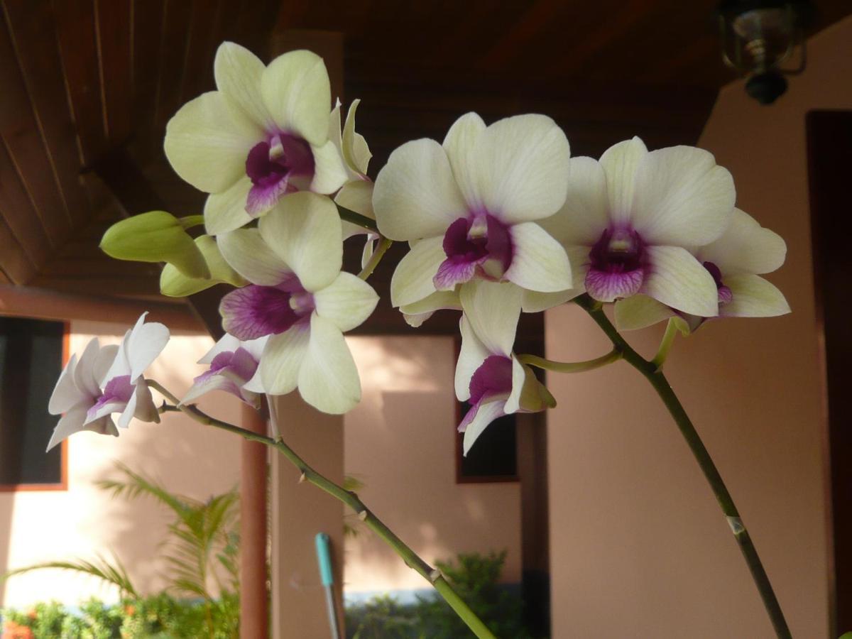 The Pace Phuket Boutique Resort Rawai Екстер'єр фото