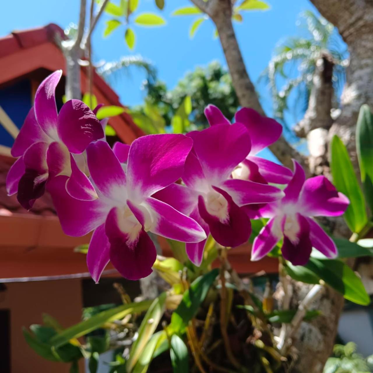 The Pace Phuket Boutique Resort Rawai Екстер'єр фото